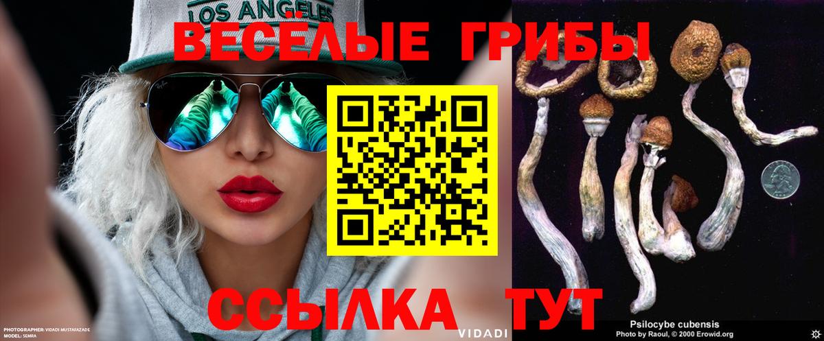 Выборг  Галлюциногенные грибы Psilocybine cubensis  Вход с VPN 