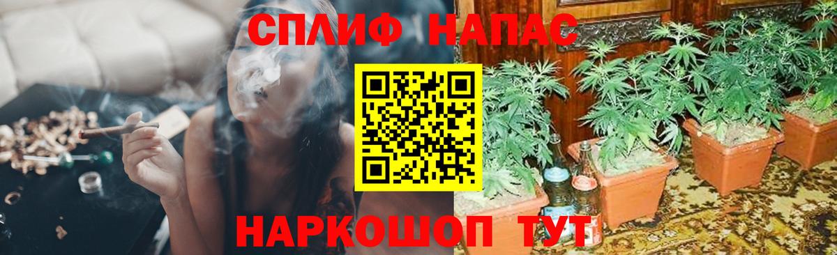 Шишки марихуана семена  Каннабис конопля  Канабис VHQ  Вход с VPN  Выборг 